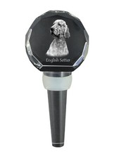 English Setter, Setter Anglais