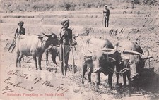 Carte postale ancienne