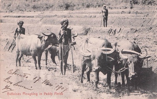 Carte postale ancienne