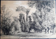 Paysage de campagne par