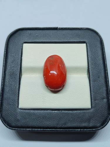 Cabochon ovale italien corail