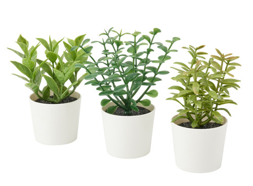 Ikea fejka artifi plante - plante, en