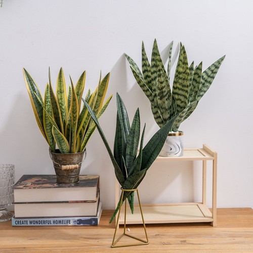 Plante serpent pvc - plante,