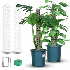 Support Plantes Grimpantes