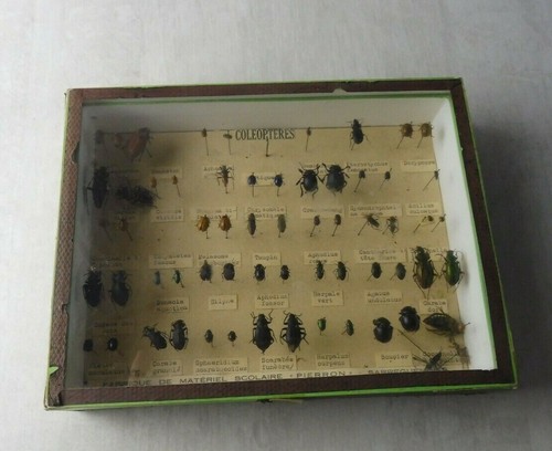 Ancienne vitrine cadre sous - ancienne,