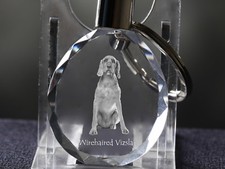 Braque hongrois à poil dur