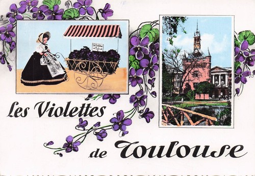 Toulouse les violettes de - 31,