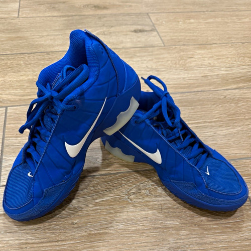 Nike lebron low top men - lebron,