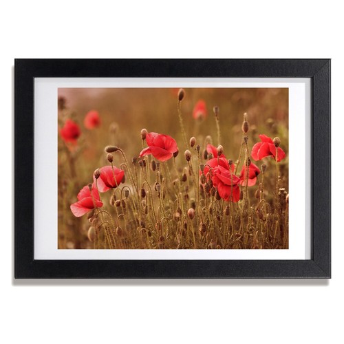 Tulup photo 30x20cm cadre - photo,