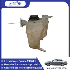 🇫🇷 VASE EXPANSION JAGUAR