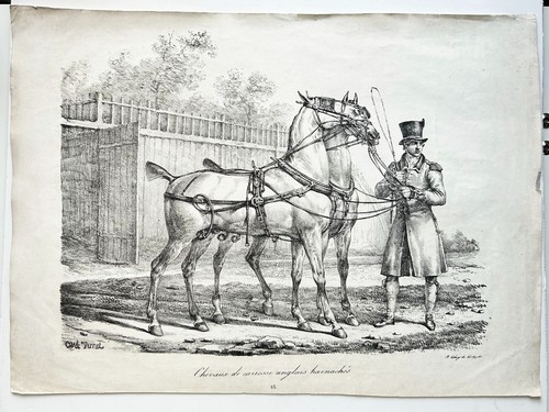 Vernet carle chevaux de - -, "chevaux