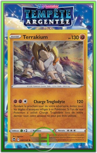 Terrakium holo eb12 tempête - holo,