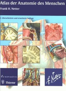 Atlas der anatomie - atlas,