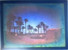 Autochrome sur Plaque de Verre d’une Oasis dans le Désert. Début XXè
