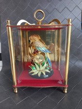 vitrine montre péroquet