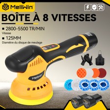12V 125mm Polisseuse Voiture Sans Fil Polisseuse Orbitale avec 2 Batteries