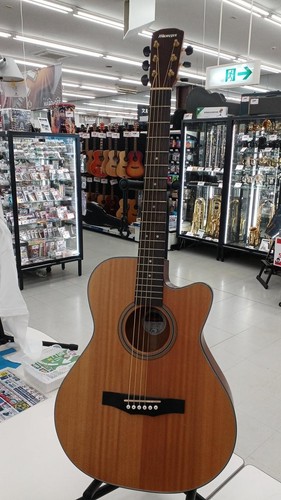Guitare acoustique morris - acoustique,