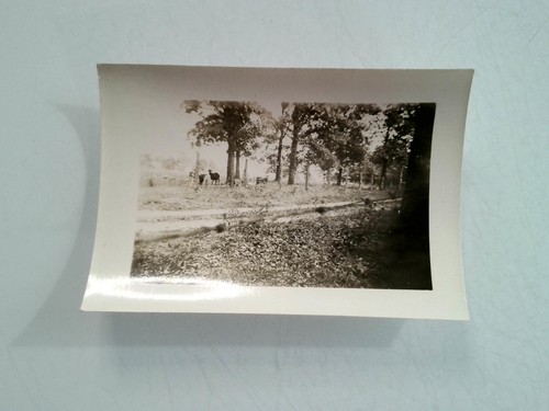 Antique vintage photo rural - antique,