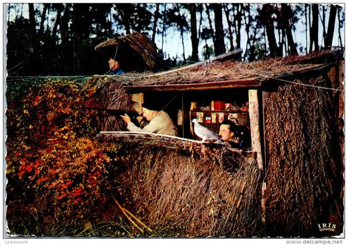 Dans les landes une - 40,