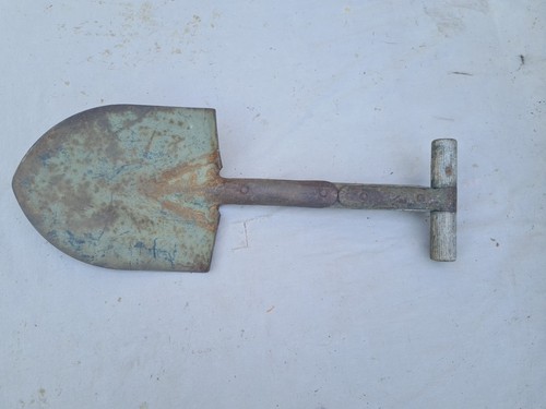 Rare pelle us raccourcie - ,