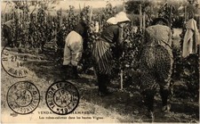 CPA Vendange en Champagne