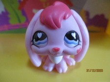 Petshop Lapin Bélier #557