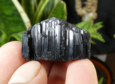 Cristal Tourmaline noire