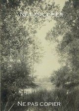 INDRE vers 1900 photo pictorialiste artistique arbres 19,2 x 13,6 cm