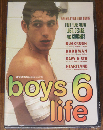 Dvd boy life gay interest - dvd,