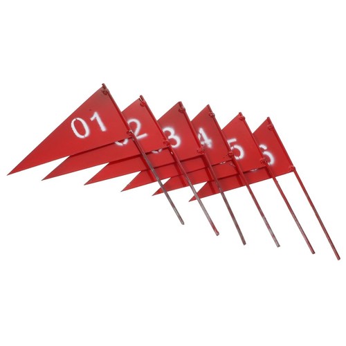 Pcs drapeau triangulaire - 6,
