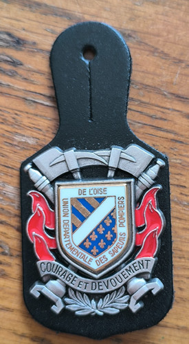 Insigne sapeurs pompiers - sapeurs,