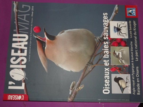 Revue l oiseau mag - ,