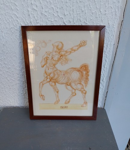 Reproduction encadree salvador - encadree,