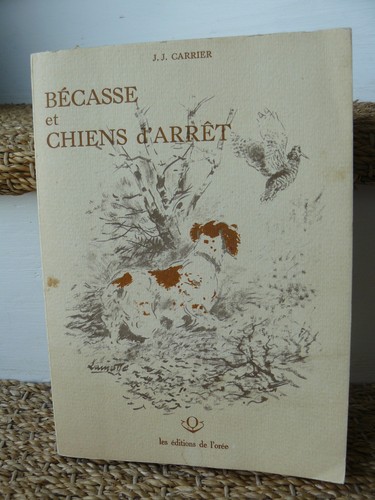 Bécasse chiens arrêt - et,