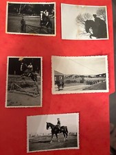 PPHOTO XX totenkopf équestre