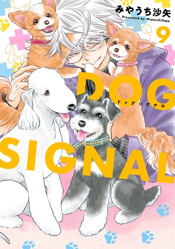 Saya miyauchi dog - miyauchi,