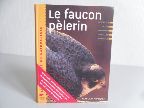 Faucon pèlerin rené - faucon, rené-jean
