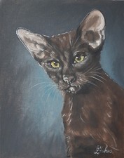 Chat oriental élégant - Peinture à l'huile originale sur toile Portrait...
