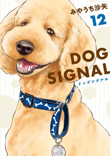 Saya miyauchi dog signal - saya,