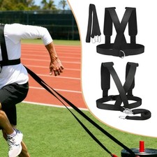 Harnais de traîneau