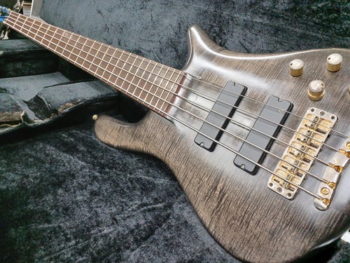 Warwick streamer stage 5st - streamer, i