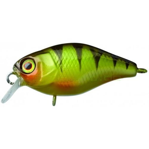 Illex chubby perche 8cm - illex, 38