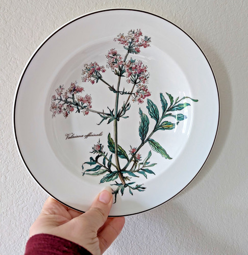Villeroy boch rim soup - boch,