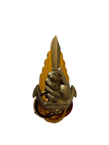 Insigne brevet instructeur - brevet, de