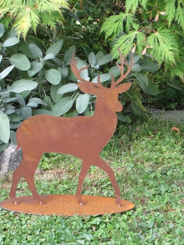 Rouille noble cerf courant sur