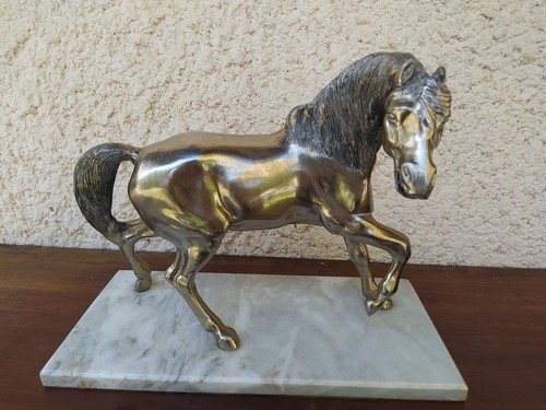 Grand cheval régule sur - en,