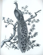 Apollinaire: Le Bestiaire ou Cortège d'Orphée. Aux dépens de l'Artiste. N°+ill.