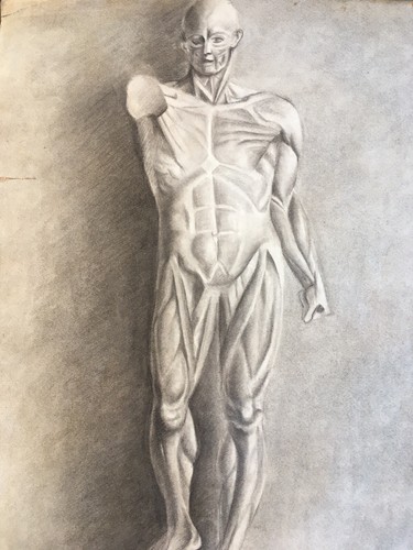 Superbe grand dessin 60cm - grand,