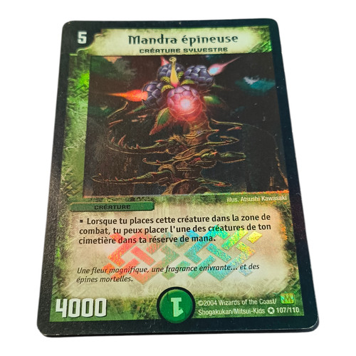 Sympa mandra épineuse holo - l'épineuse,