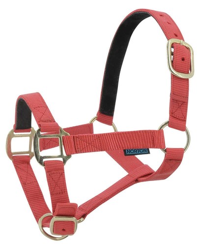 Licol nylon norton doublé - nylon,
